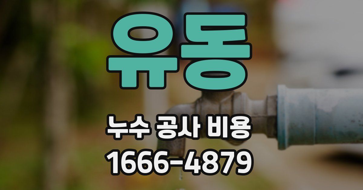 유동 누수 공사 비용