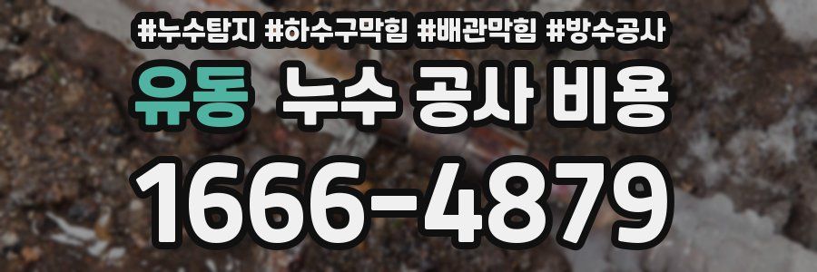 유동 누수 공사 비용