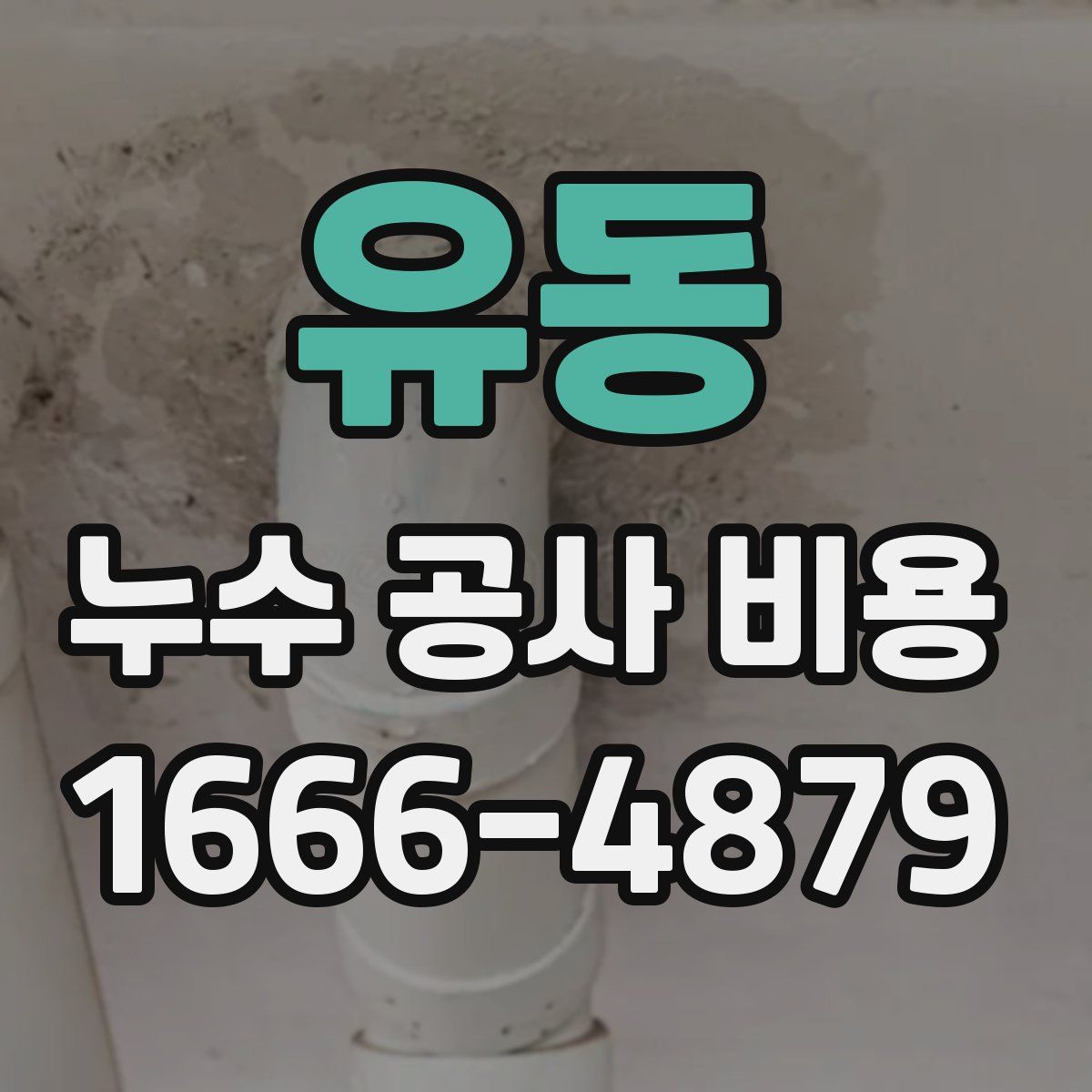 유동 누수 공사 비용