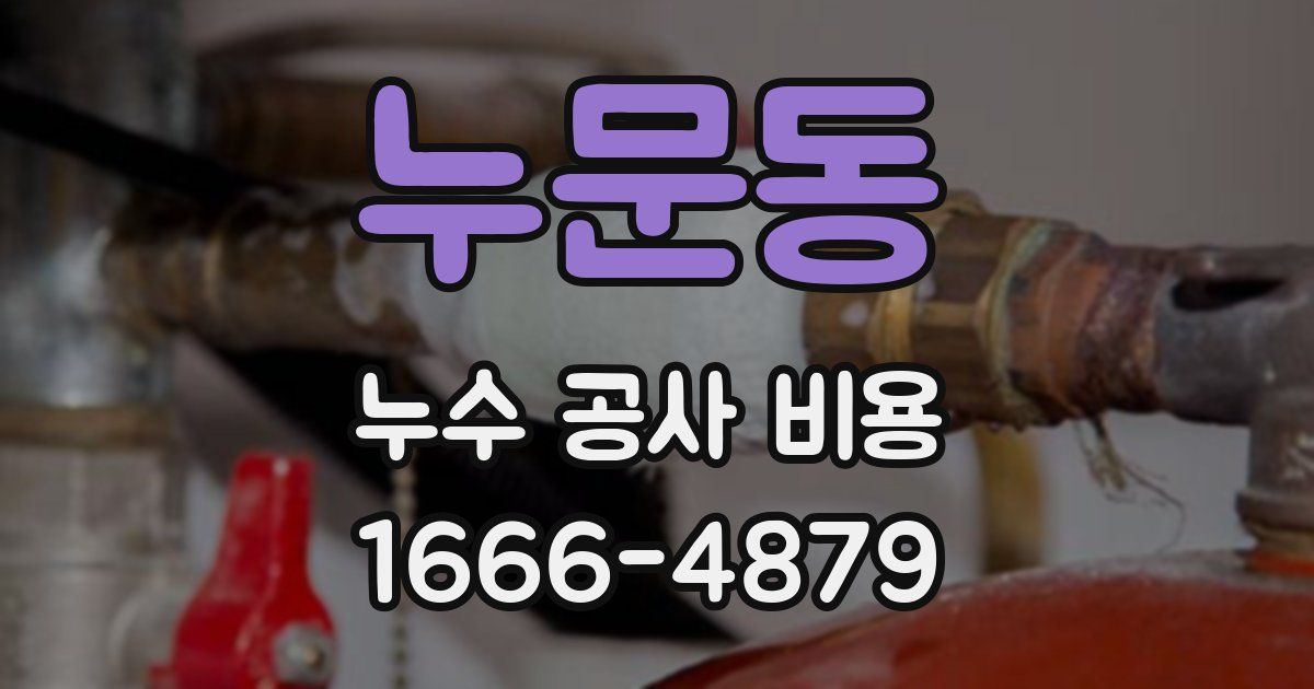 누문동 누수 공사 비용