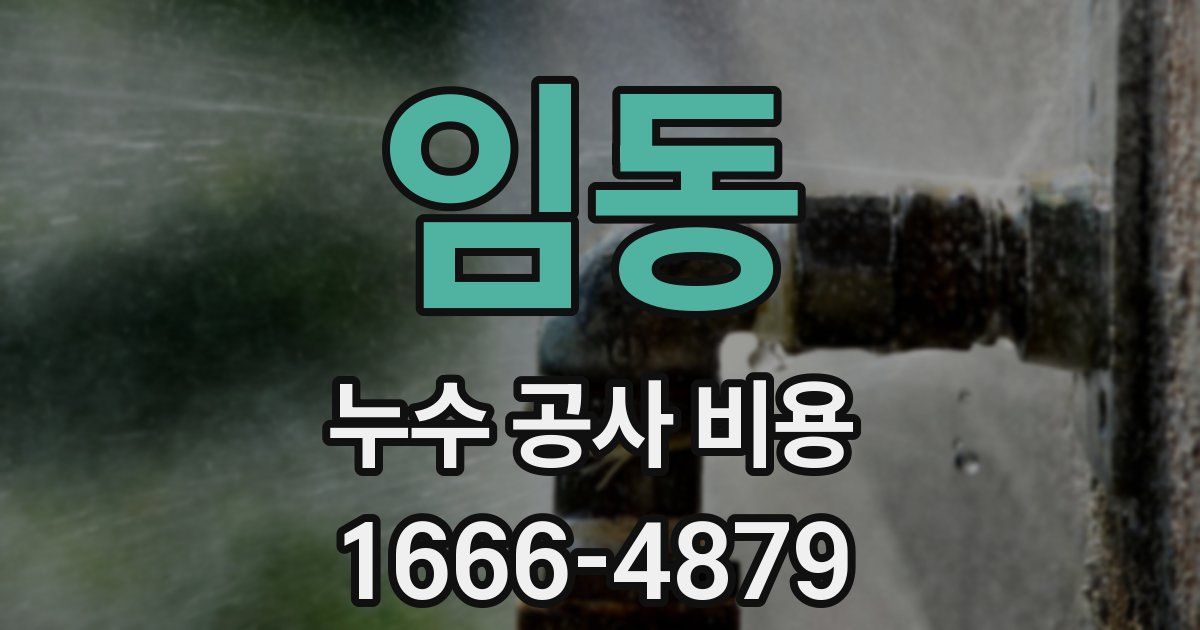 임동 누수 공사 비용