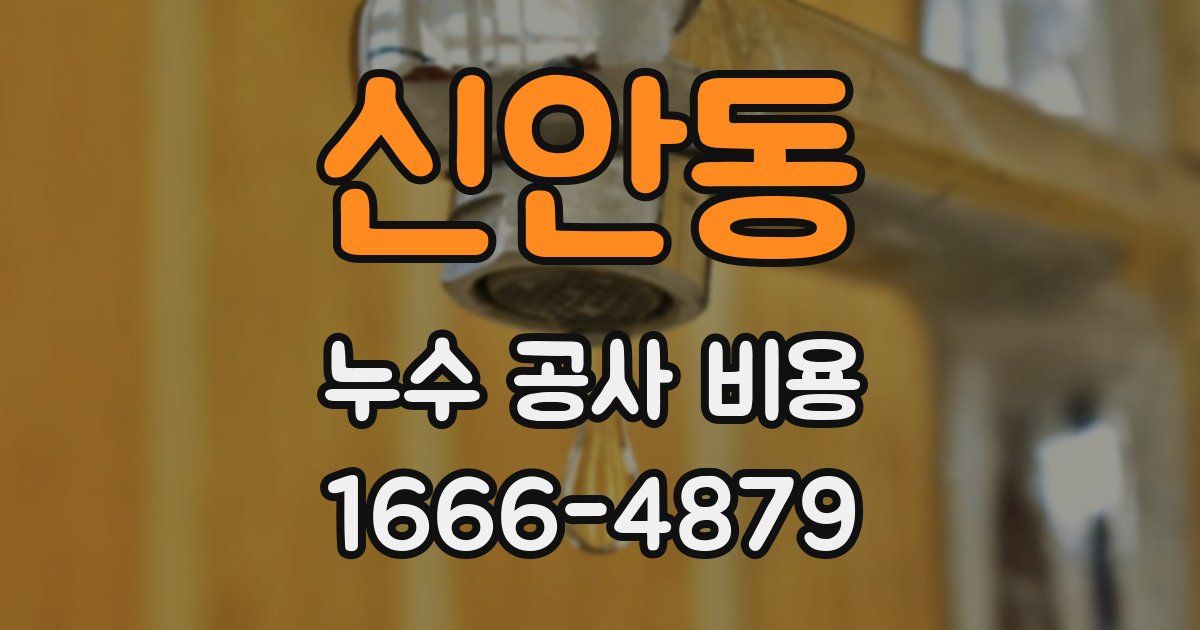 신안동 누수 공사 비용