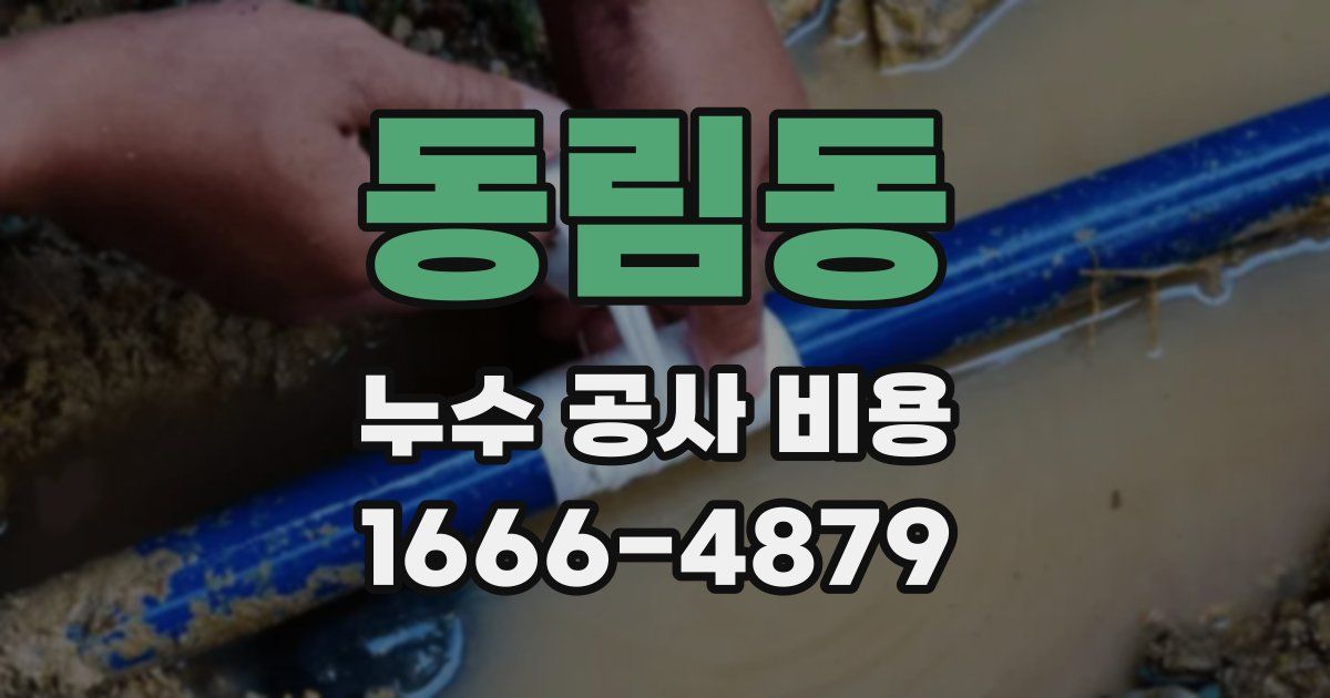 동림동 누수 공사 비용