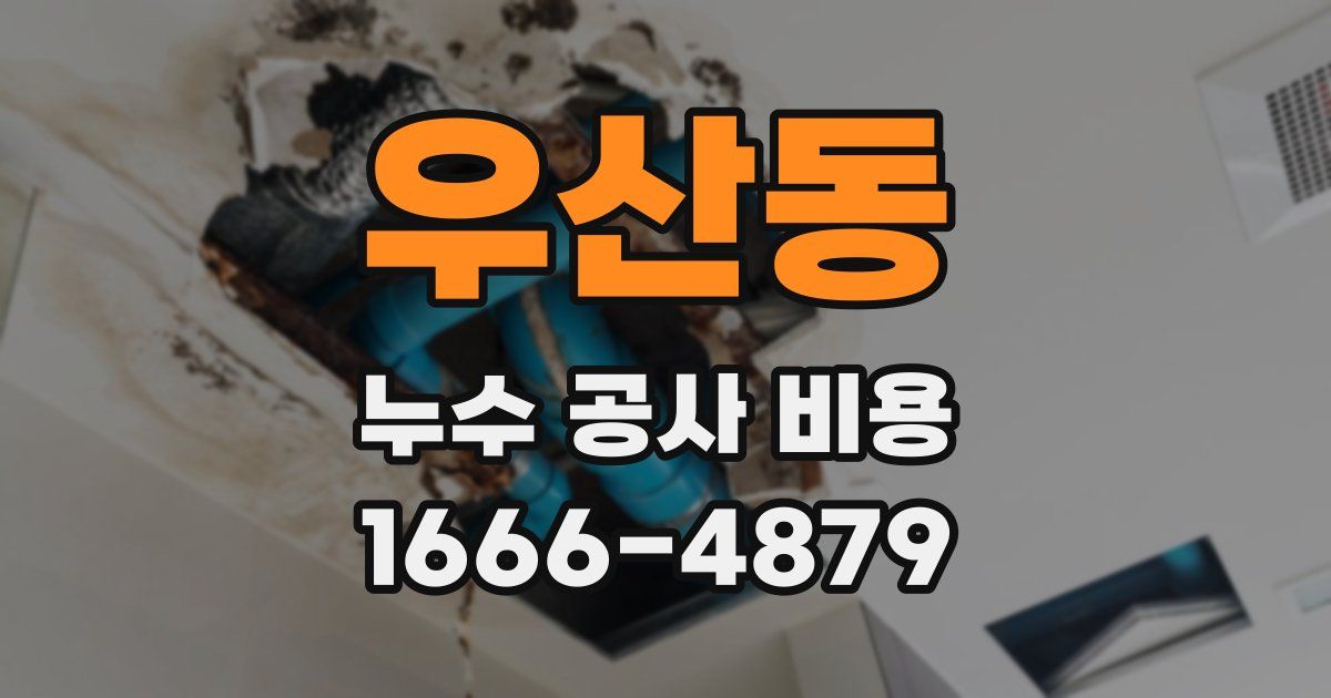 우산동 누수 공사 비용