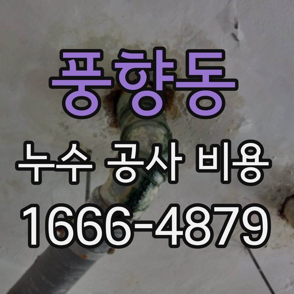 풍향동 누수 공사 비용