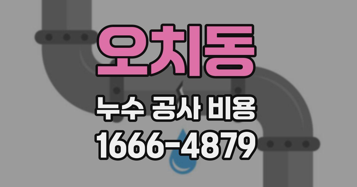 오치동 누수 공사 비용