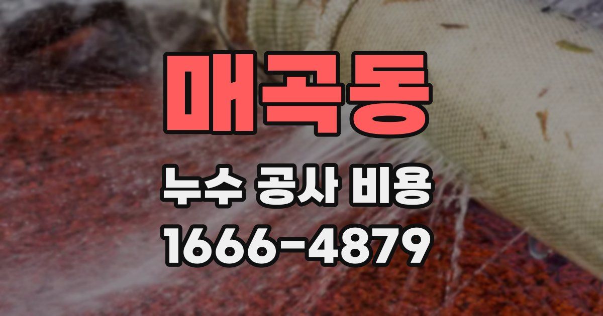 매곡동 누수 공사 비용