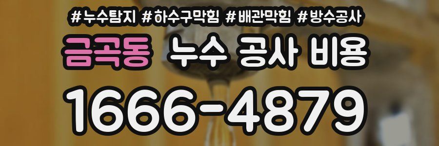 금곡동 누수 공사 비용