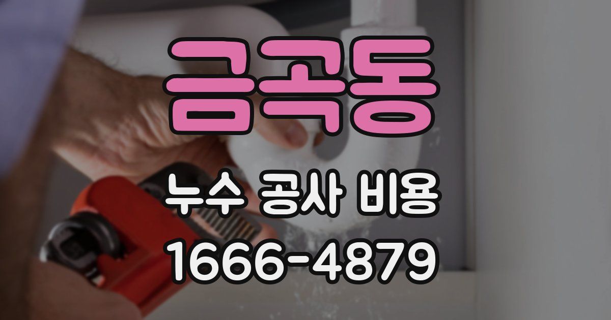 금곡동 누수 공사 비용
