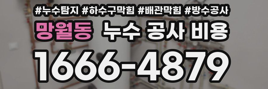 망월동 누수 공사 비용