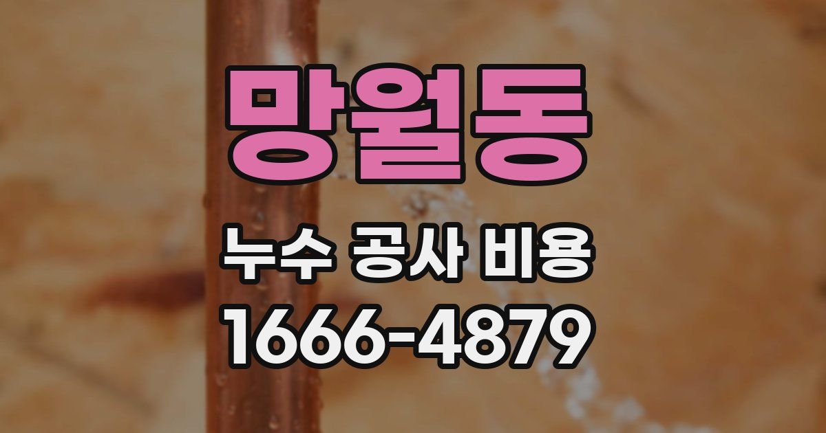 망월동 누수 공사 비용