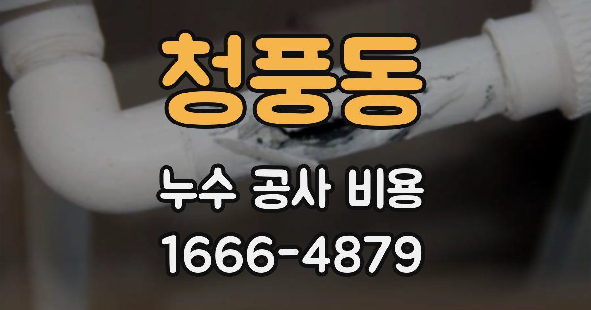 청풍동 누수 공사 비용