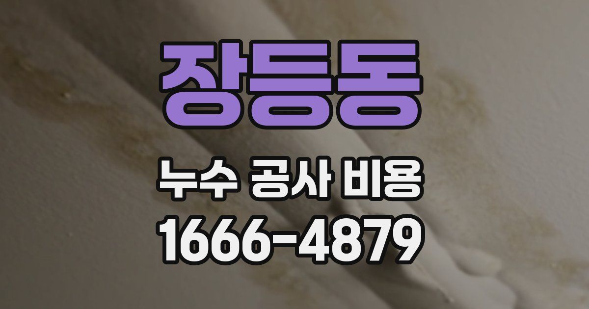 장등동 누수 공사 비용