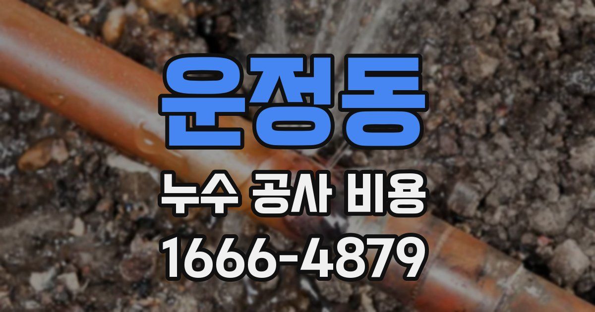 운정동 누수 공사 비용