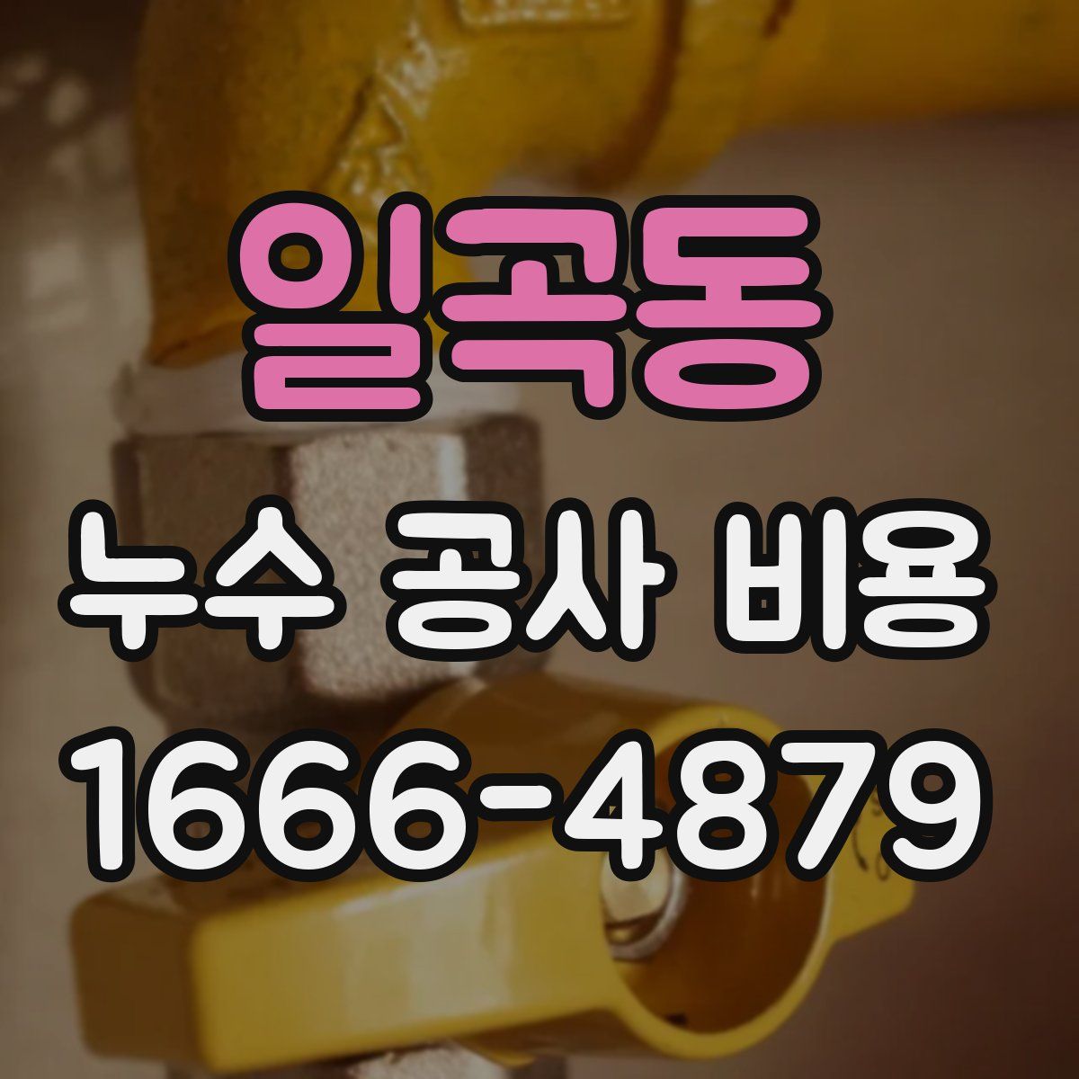 일곡동 누수 공사 비용