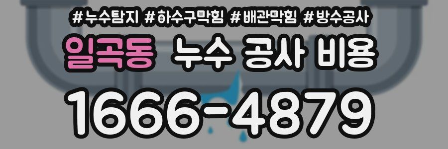 일곡동 누수 공사 비용