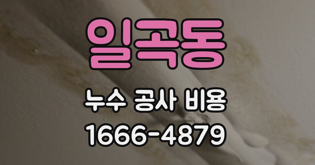 일곡동 누수 공사 비용