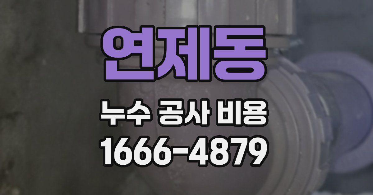 연제동 누수 공사 비용