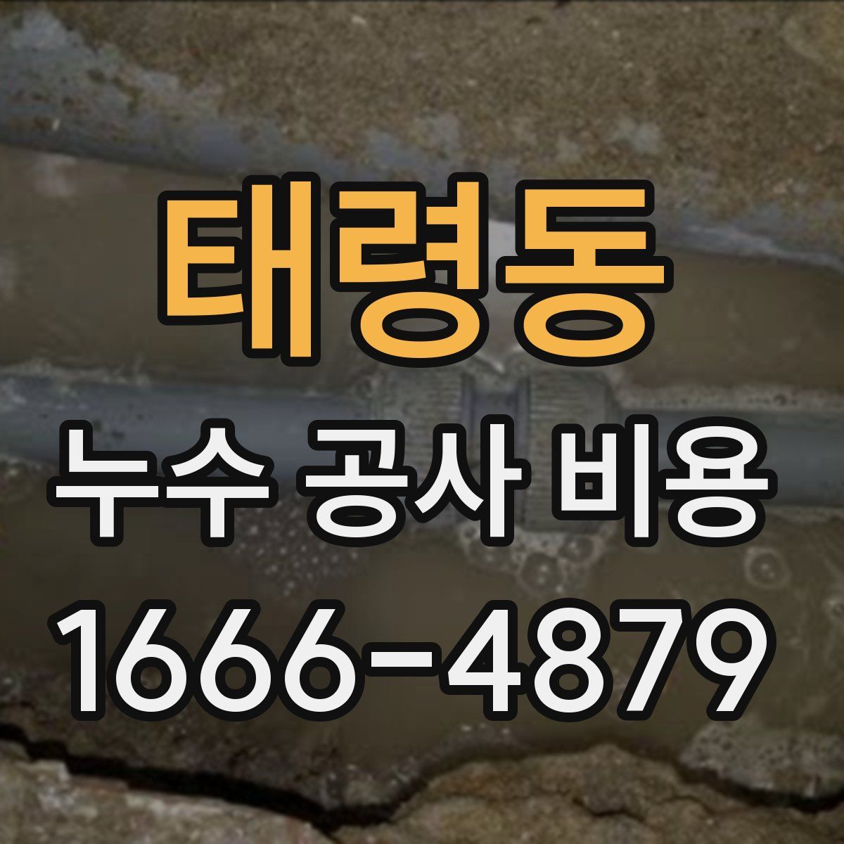 태령동 누수 공사 비용