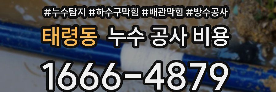 태령동 누수 공사 비용