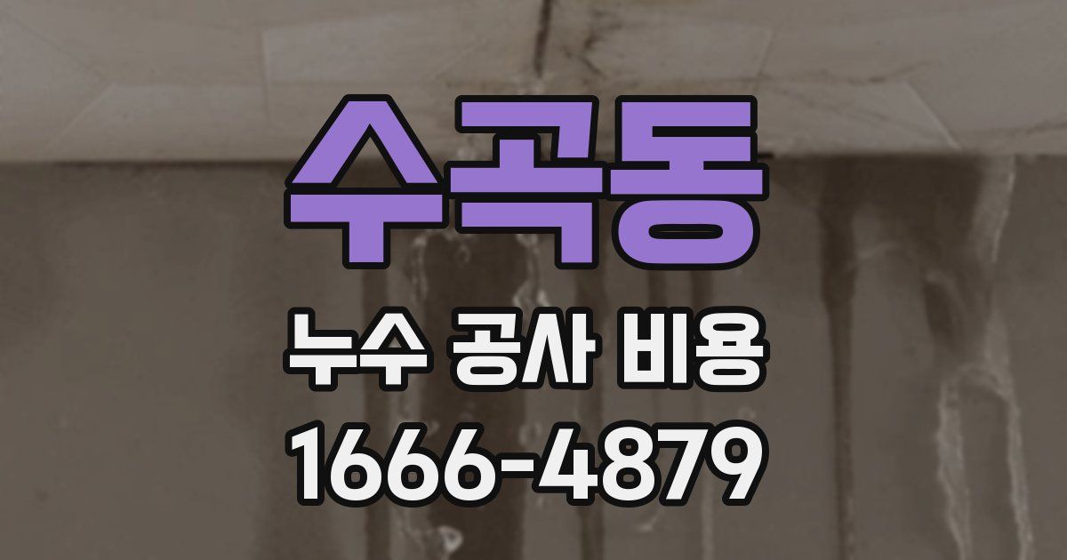 수곡동 누수 공사 비용