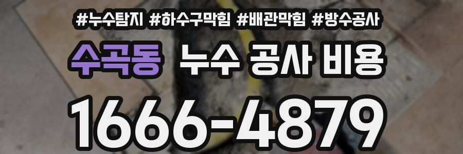 수곡동 누수 공사 비용