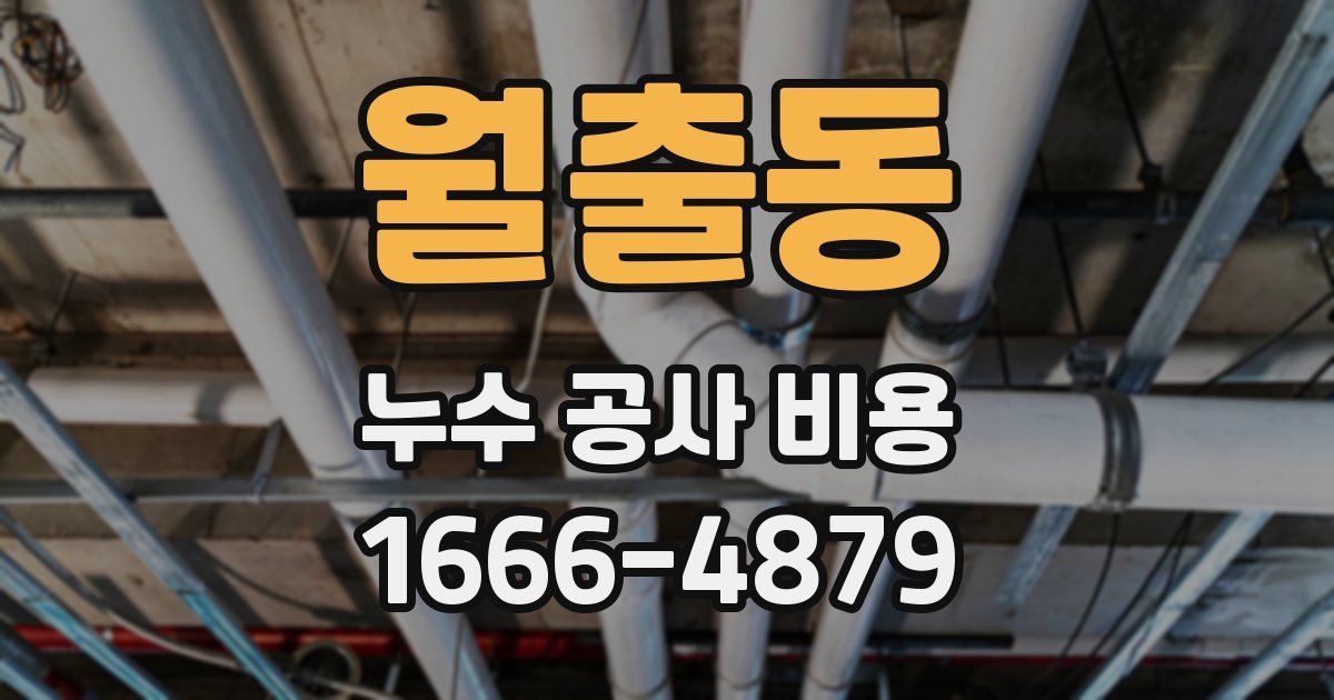 월출동 누수 공사 비용