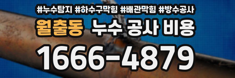 월출동 누수 공사 비용