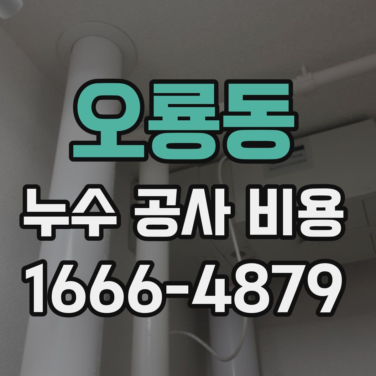 오룡동 누수 공사 비용