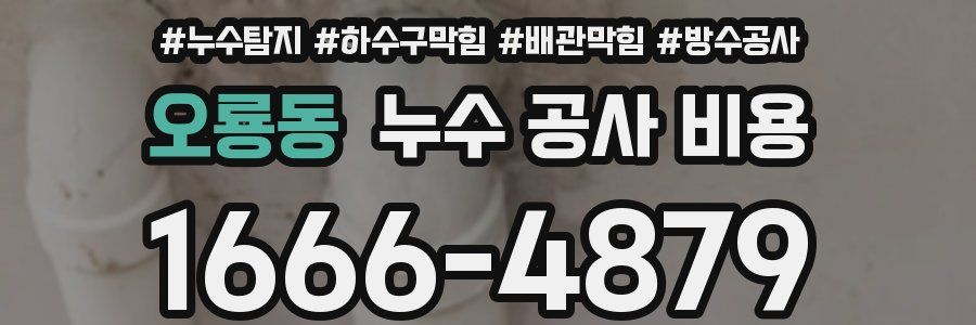 오룡동 누수 공사 비용