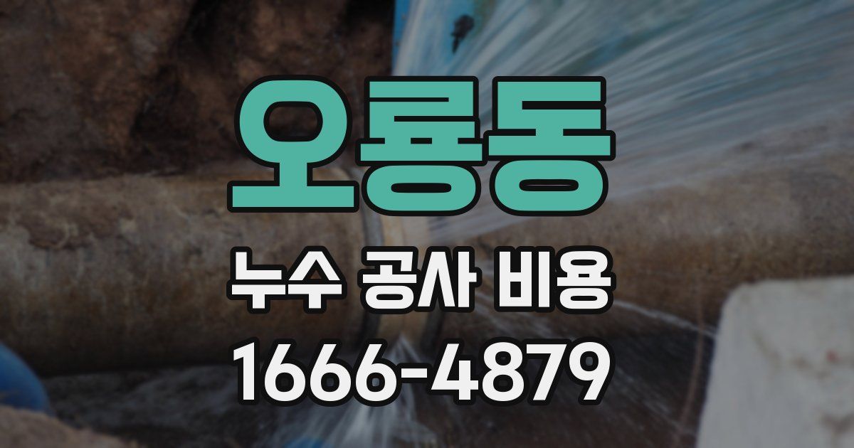 오룡동 누수 공사 비용