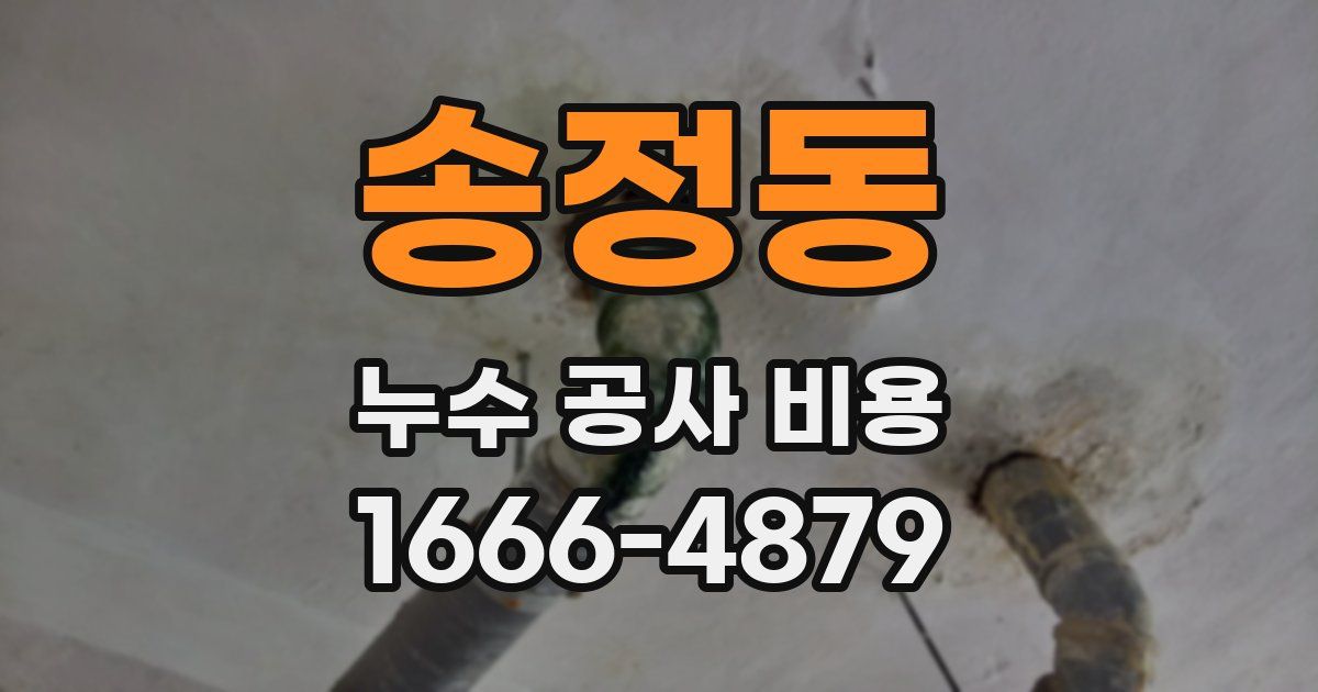송정동 누수 공사 비용