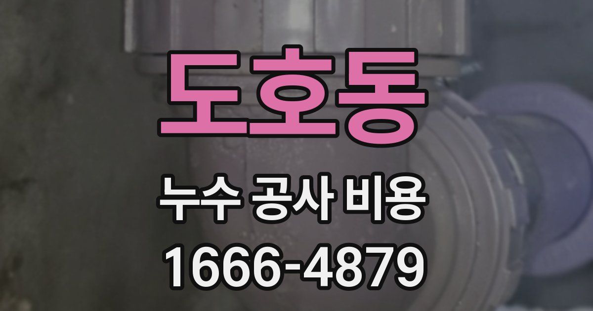 도호동 누수 공사 비용