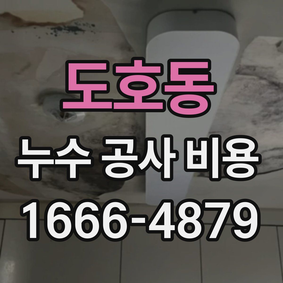 도호동 누수 공사 비용