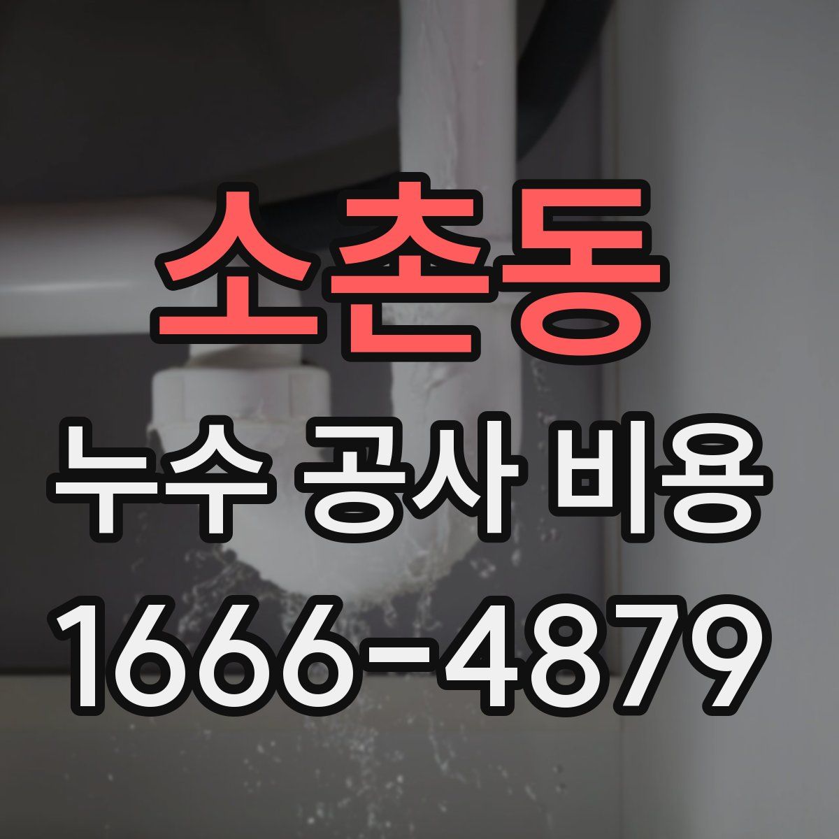 소촌동 누수 공사 비용
