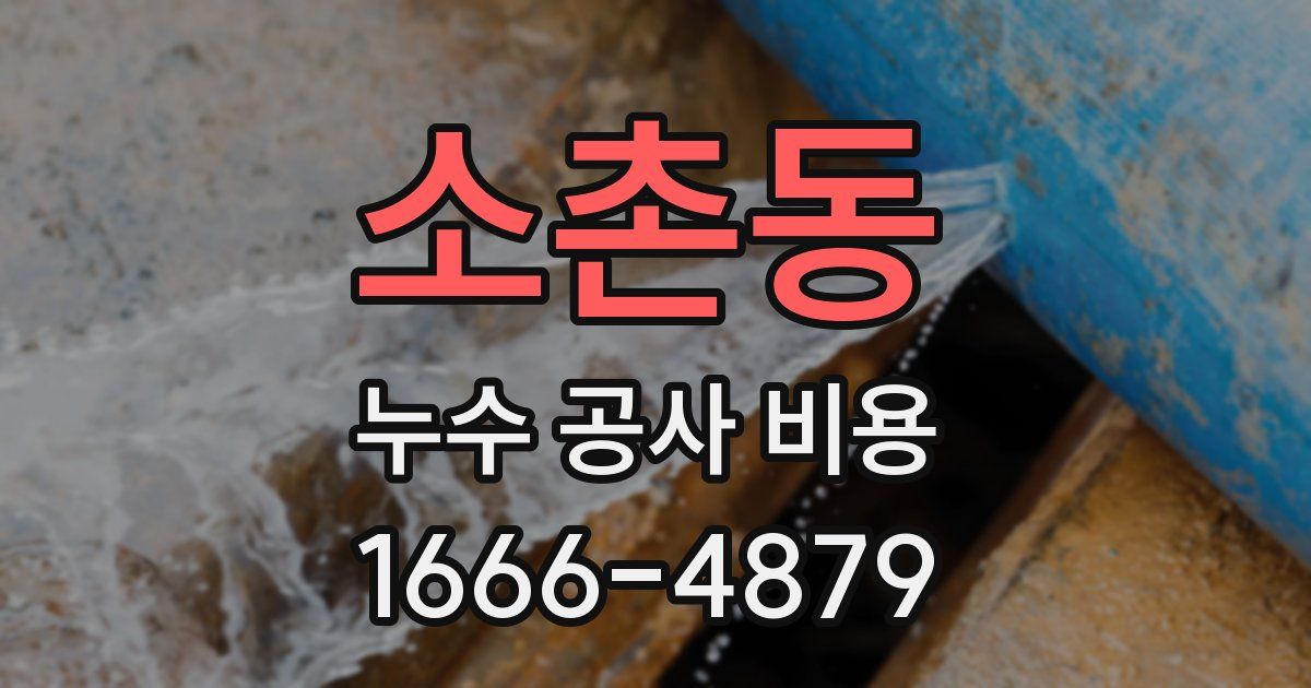 소촌동 누수 공사 비용