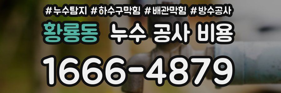 황룡동 누수 공사 비용