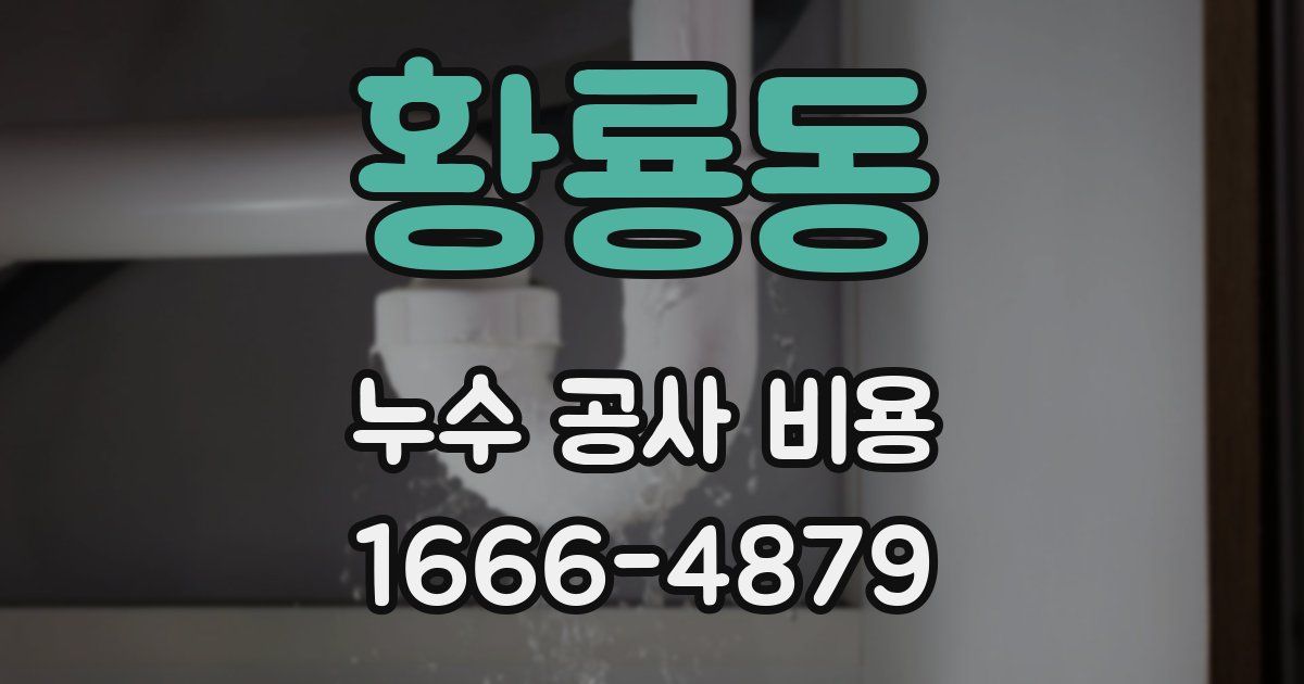 황룡동 누수 공사 비용