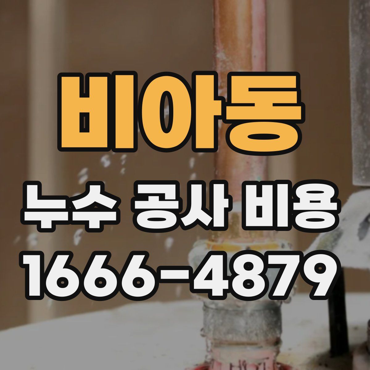 비아동 누수 공사 비용