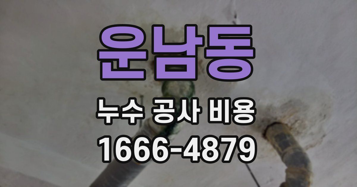 운남동 누수 공사 비용