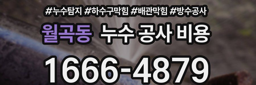 월곡동 누수 공사 비용