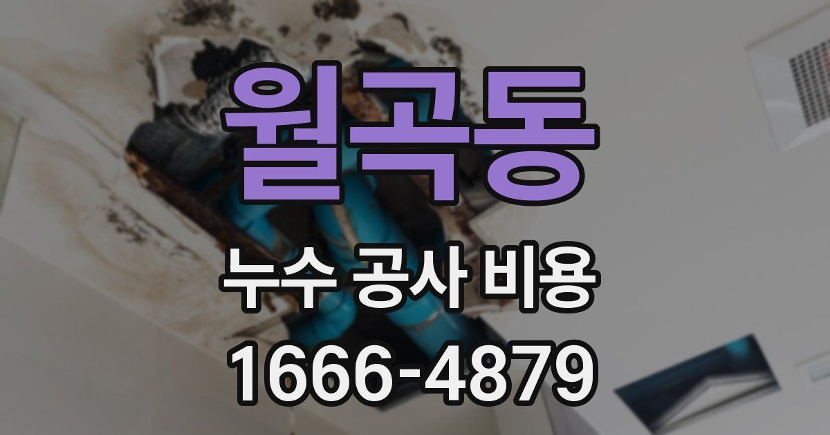월곡동 누수 공사 비용