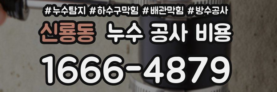 신룡동 누수 공사 비용