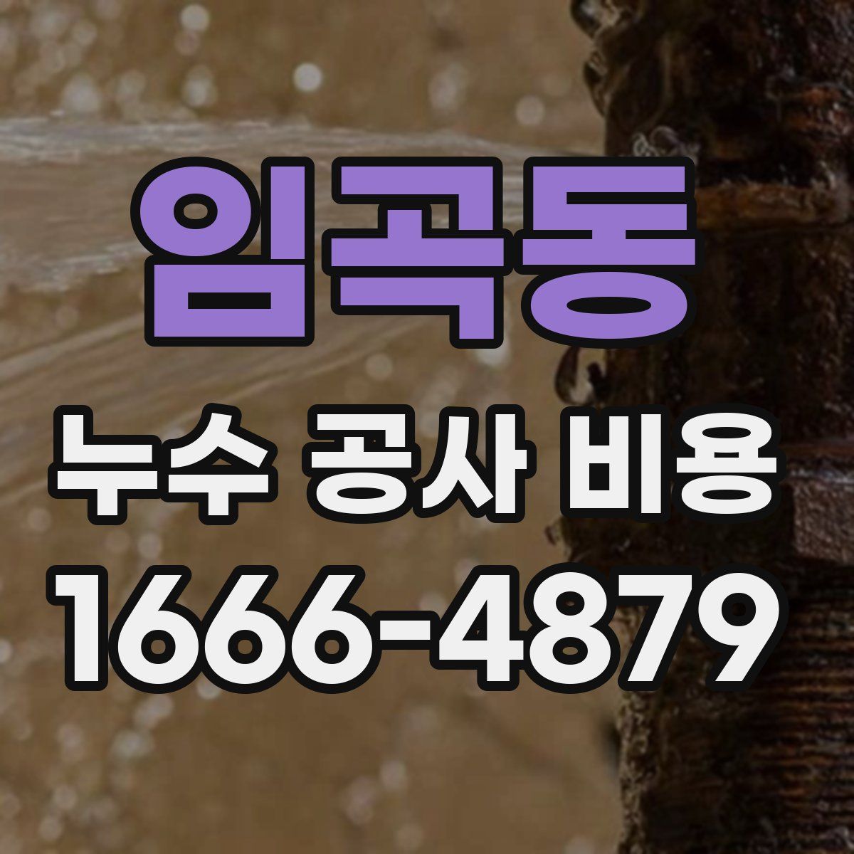 임곡동 누수 공사 비용