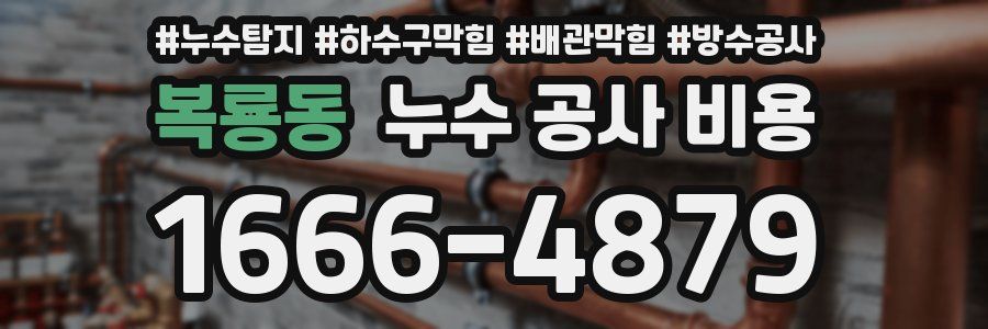 복룡동 누수 공사 비용