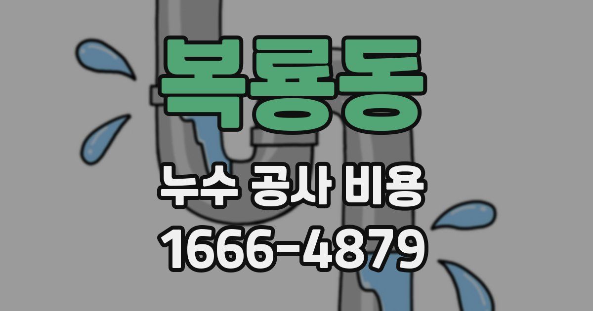 복룡동 누수 공사 비용