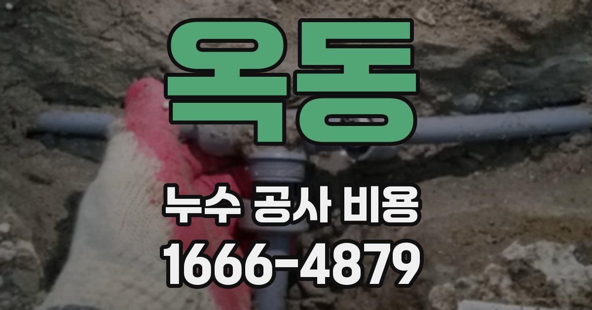 옥동 누수 공사 비용