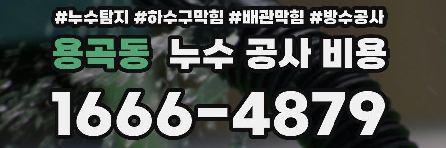 용곡동 누수 공사 비용