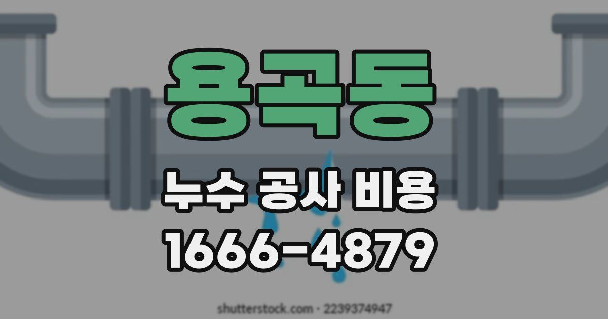 용곡동 누수 공사 비용