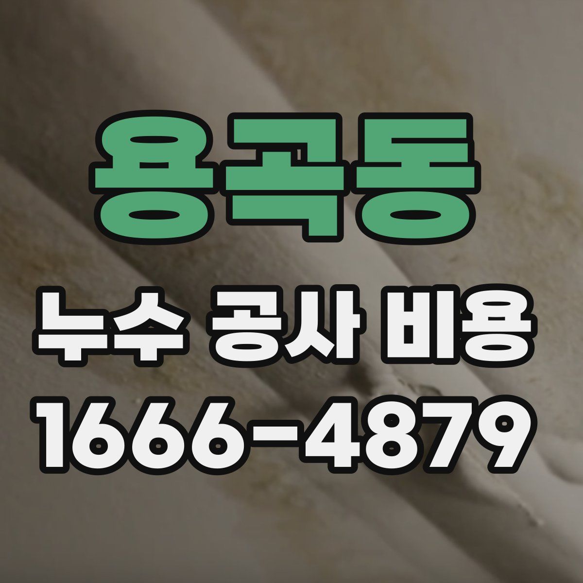 용곡동 누수 공사 비용